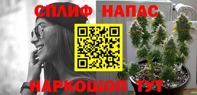 трава Сланцы