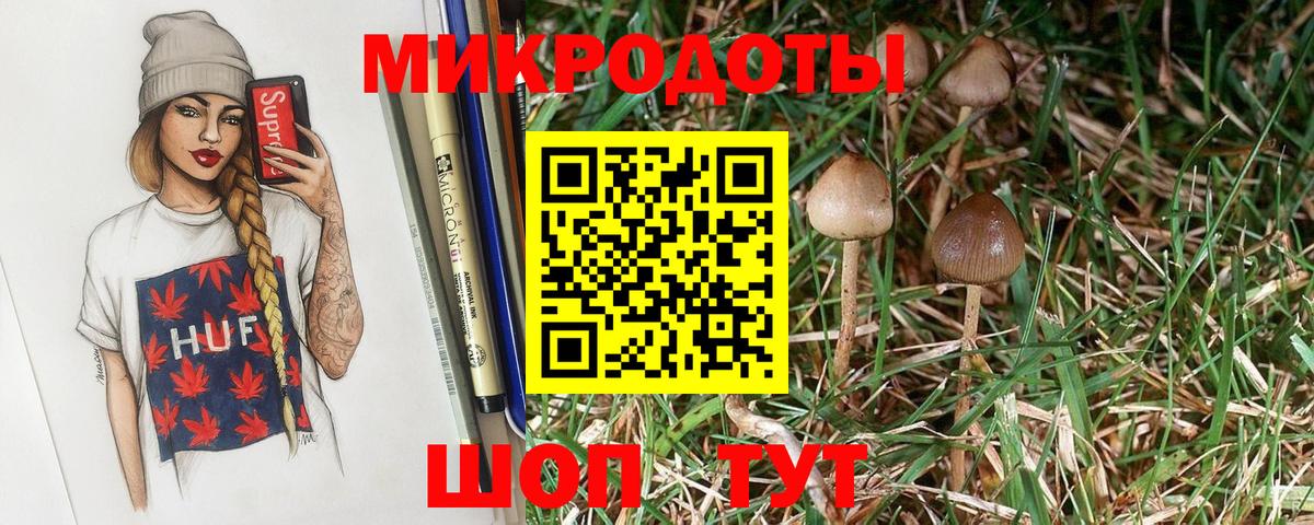 Нововоронеж  Псилоцибиновые грибы Cubensis  Вход с VPN 